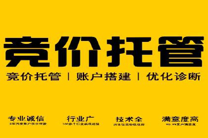 SEM托管代运营案例：优化用户体验策略